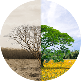 Encuesta a los clientes: Compromiso social