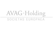 Avag Holding